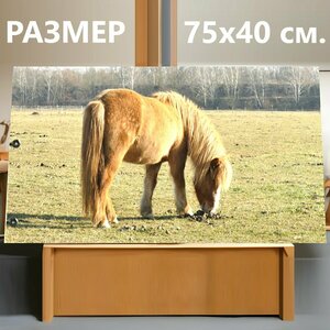Картина на холсте "Животное, исландская лошадь, лошадь" на подрамнике 75х40 см. для интерьера