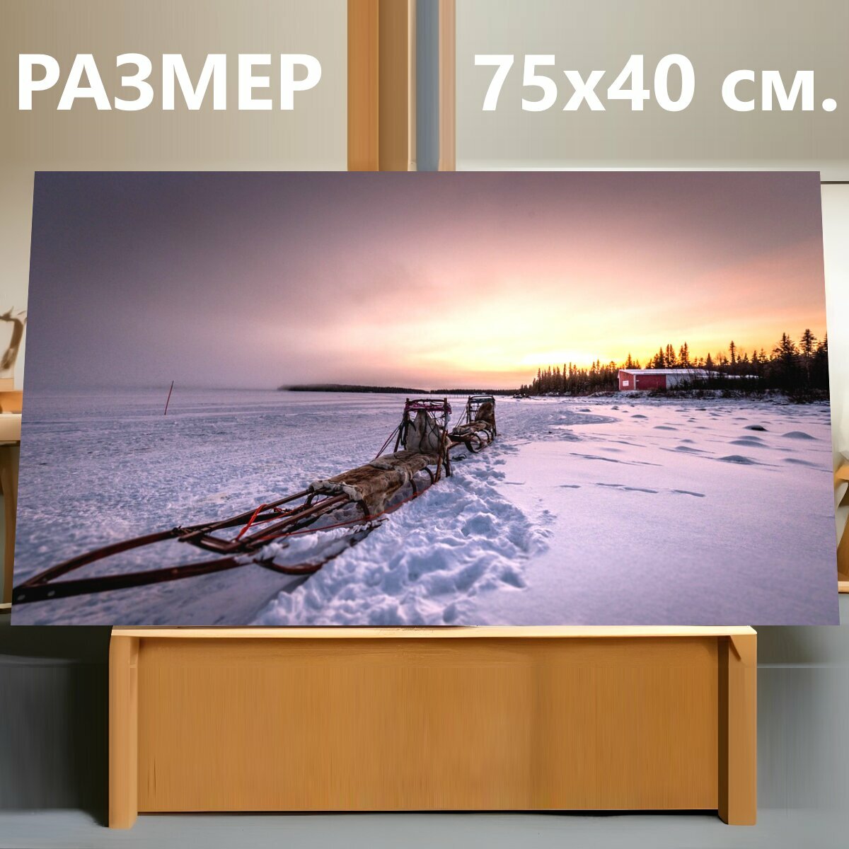 Картина на холсте "Собачьих упряжках, санки, снег" на подрамнике 75х40 см. для интерьера
