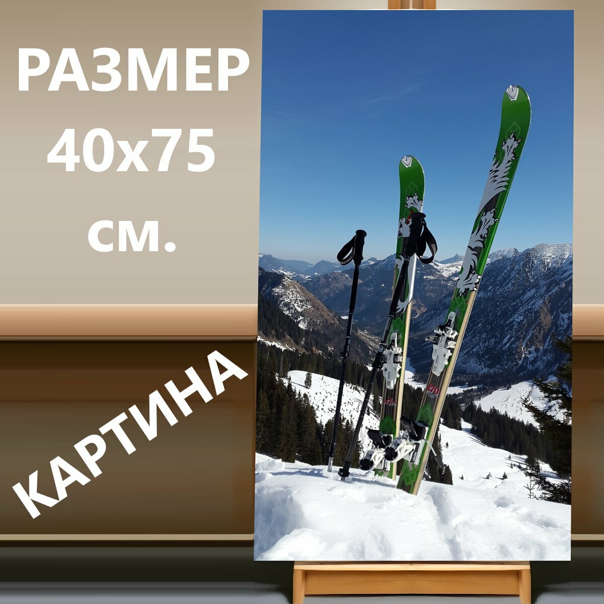 Картина на холсте "Туристические лыжи, зимние виды спорта, зима" на подрамнике 40х75 см. для интерьера