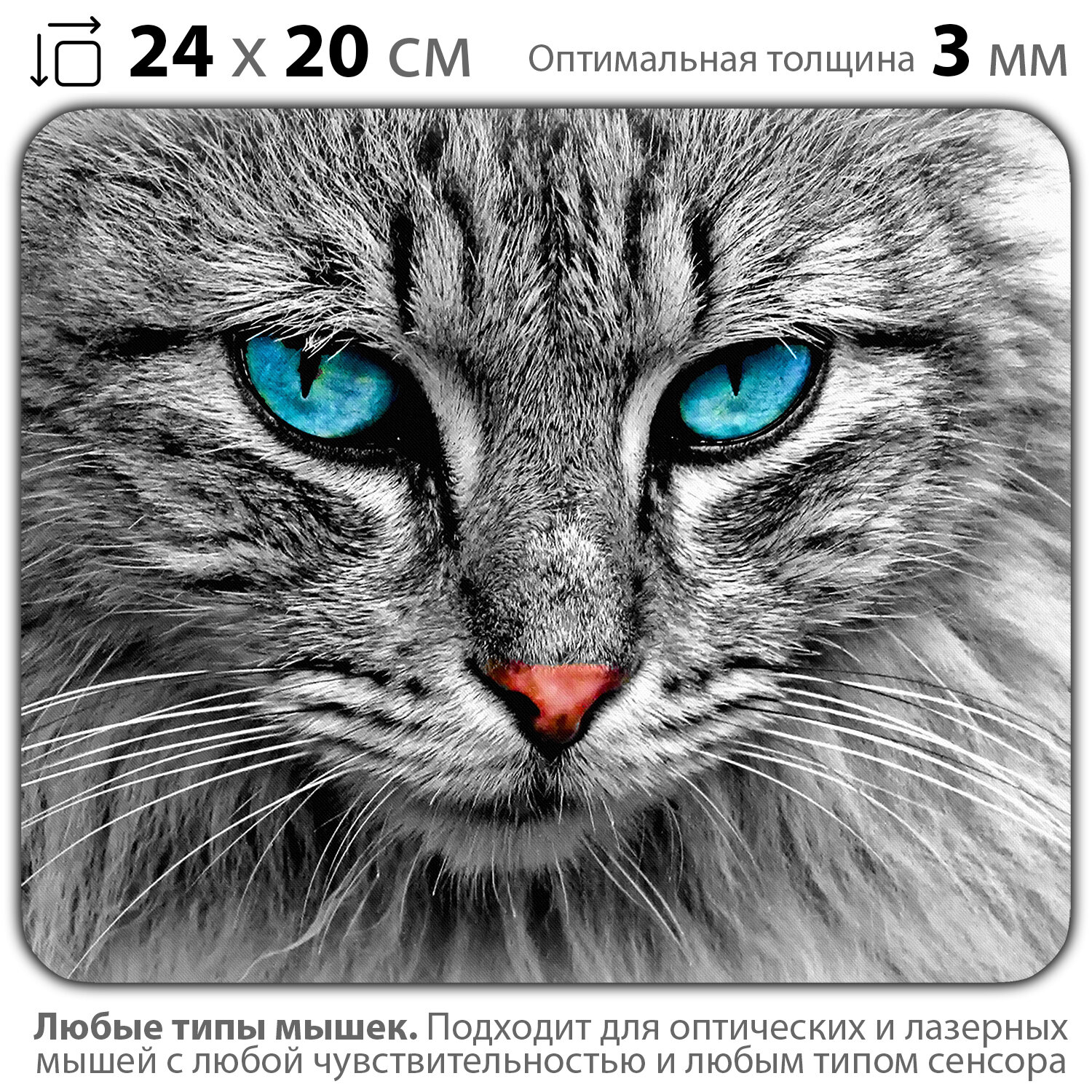 Коврик для мыши "Кот с голубыми глазами" (24 x 20 см x 3 мм)