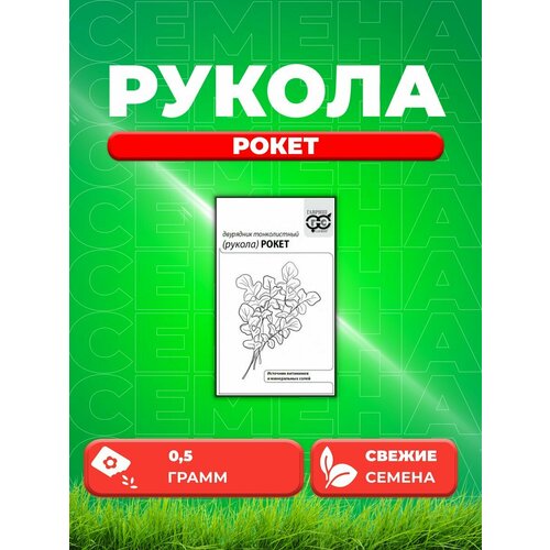 Двурядник тонколистный (Рукола дикая) Рокет 0,5 г б/п саженец бузульник узколистный рокет