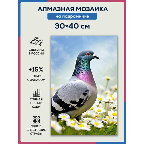 Алмазная мозаика 30x40 Голубь и ромашки на подрамнике