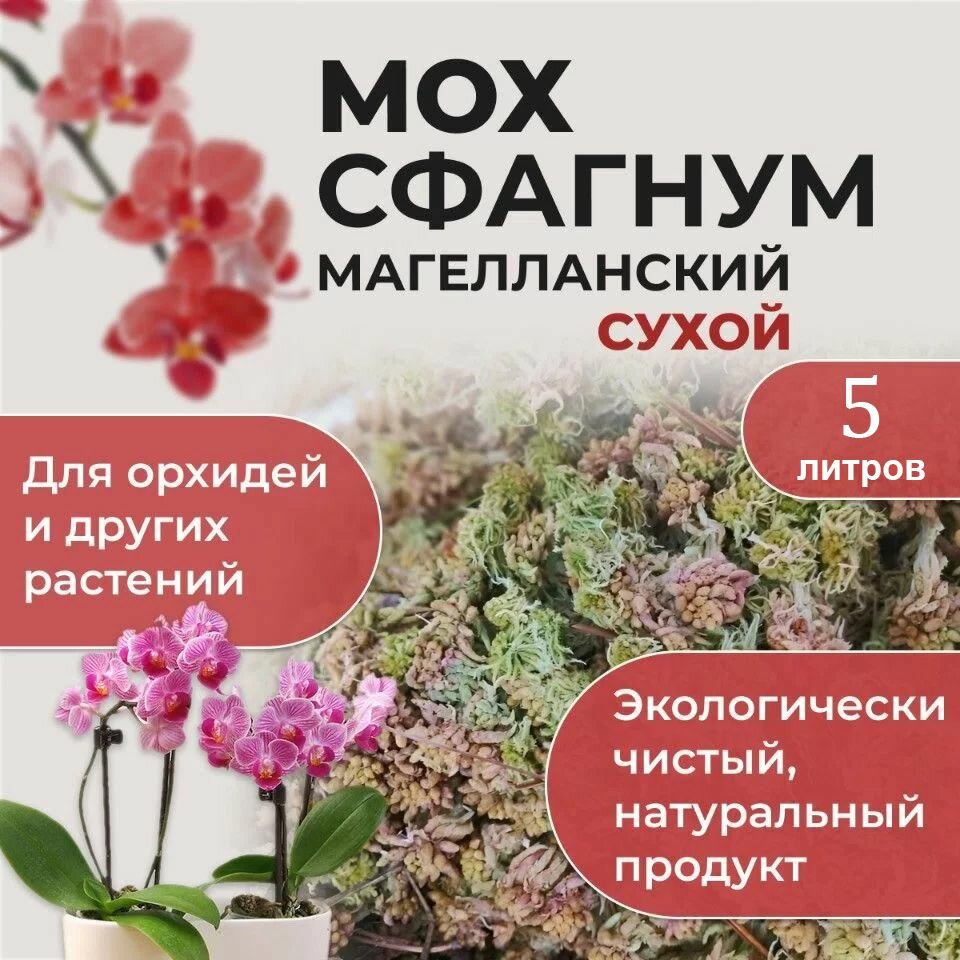 фото Мох сфагнум очищенный сухой 3 литра; Грунт для растений и орхидей.