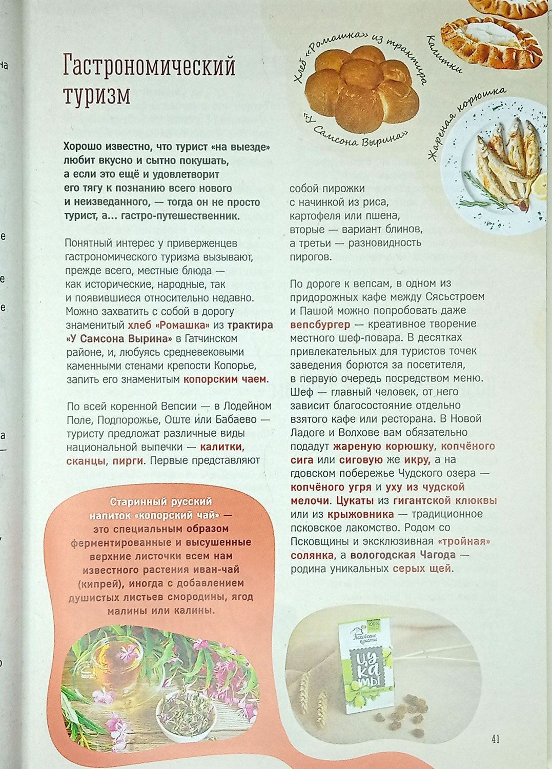 Большой путеводитель на юг от Санкт-Петербурга. Гатчинско-Лужское направление - фото №4