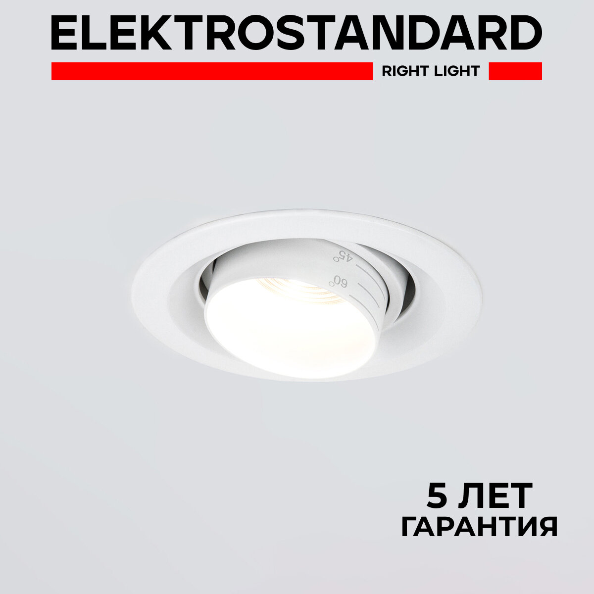 Встраиваемый светодиодный светильник с регулировкой угла освещения Elektrostandard Zoom 9919 LED 10 Вт/4200K белый