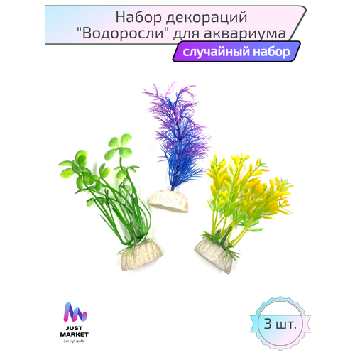 Набор водорослей JustMarket Для аквариума и террариума