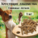 Лакомство для собак "Хрустящие деликатесы", говяжье лёгкое, 1кг
