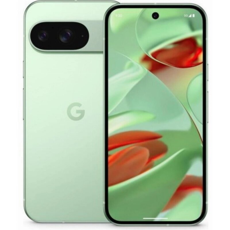 Google Смартфон Google Pixel 9a 8/128GB японская версия, Фарфор