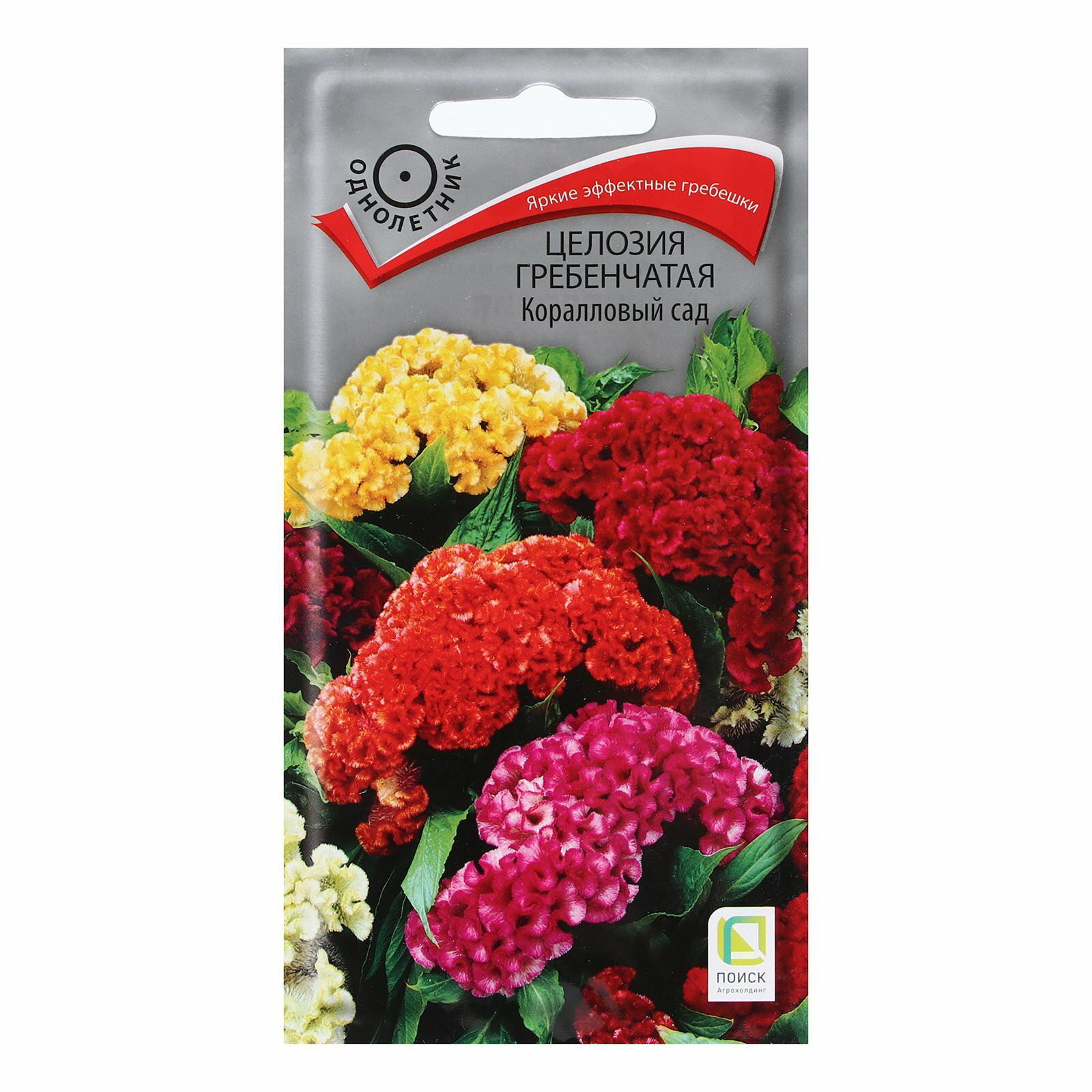 Семена цветов Целозия гребенчатая 