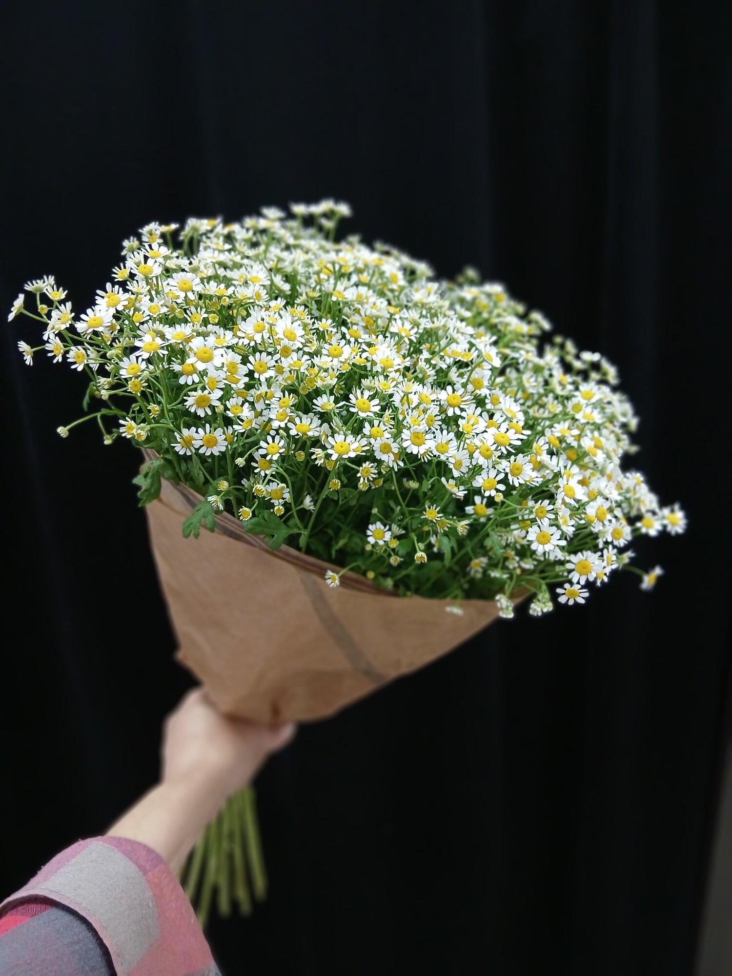 Букет из 11 ти кустовых ромашек