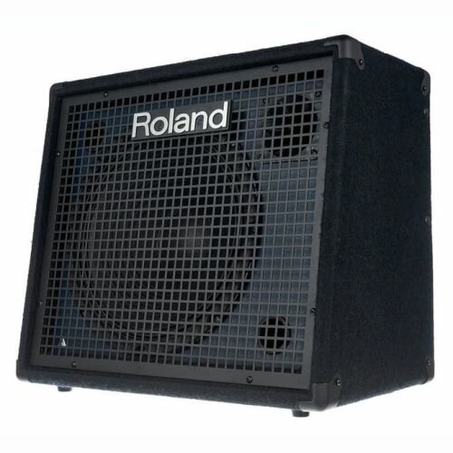 Комбоусилитель Roland - фото №4