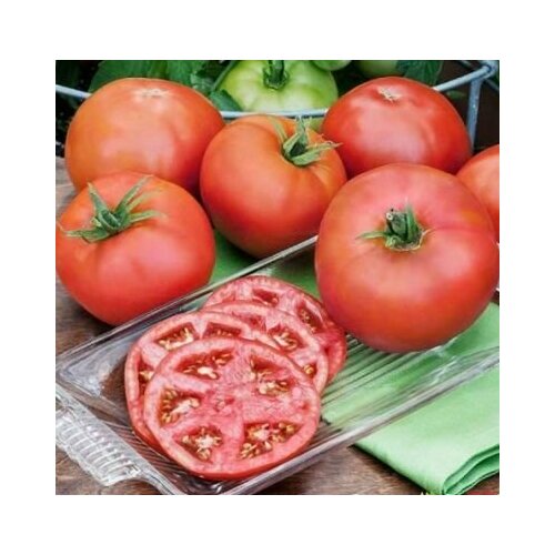 Коллекционные семена томата Король ранних и урожайных