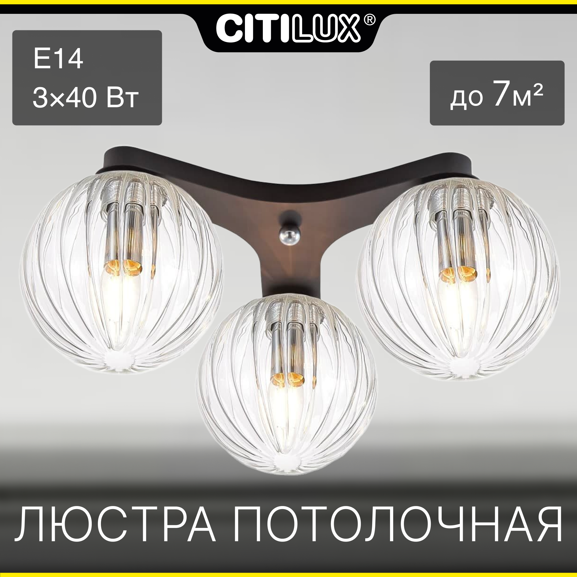 Citilux Коптер CL116131 Люстра потолочная Чёрная