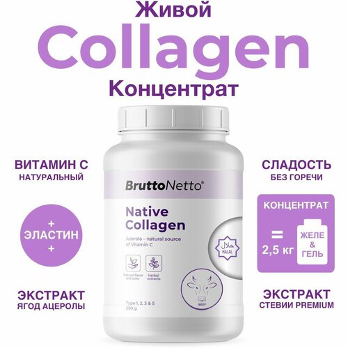 Гидролизованный Коллаген Пептидный с витамином C Native Collagen BruttoNetto порошок 200 гр Натуральный вкус