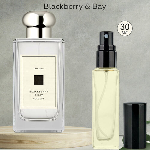 Gratus Parfum Blackberry Bay духи женские масляные 30 мл (спрей) + подарок gratus parfum blackberry bay духи женские масляные 30 мл спрей подарок