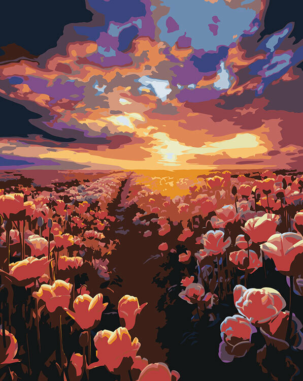Картина по номерам Природа пейзаж с полем тюльпанов