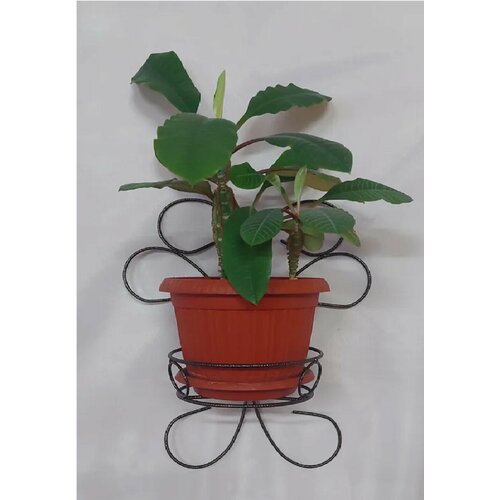 Подставка для цветов настенная на 1 горшок «Павлин» (проволока), 29х17х36см.