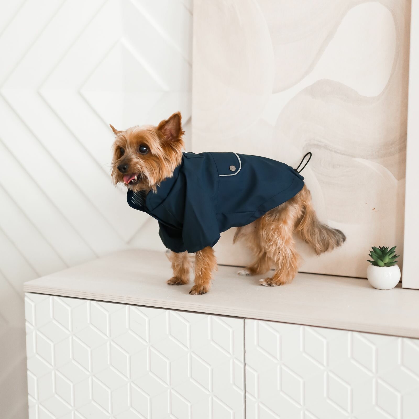 Дождевик/куртка, одежда для собак, "Не Один Дома" Макинтош, синий, S, длина спинки - 30 см