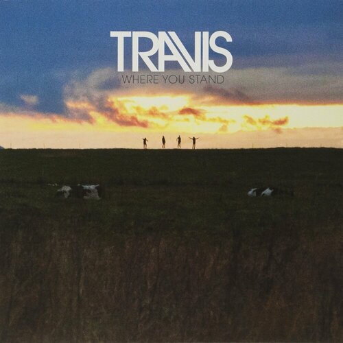 Виниловая пластинка Travis: Where You Stand (180g)