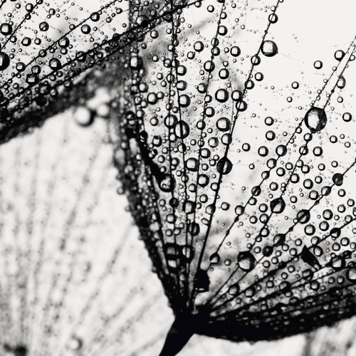 Изображение товара Самоклеящаяся антивандальная пленка для декора мебели и кухонных фартуков. "Капли на цветах". 60х155 см.