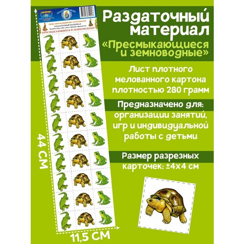 Раздаточный материал 