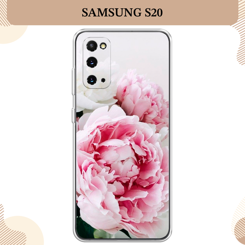 Силиконовый чехол Розовые и белые пионы на Samsung Galaxy S20 / Самсунг Галакси S20