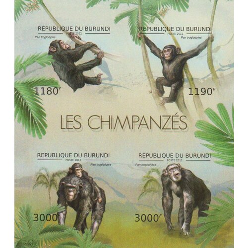 Почтовые марки Бурунди 2012г. Фауна - Шимпанзе Шимпанзе, Обезьяны, Фауна MNH почтовые марки бурунди 2012г охрана природы птицы из красной книги шимпанзе обезьяны фауна mnh