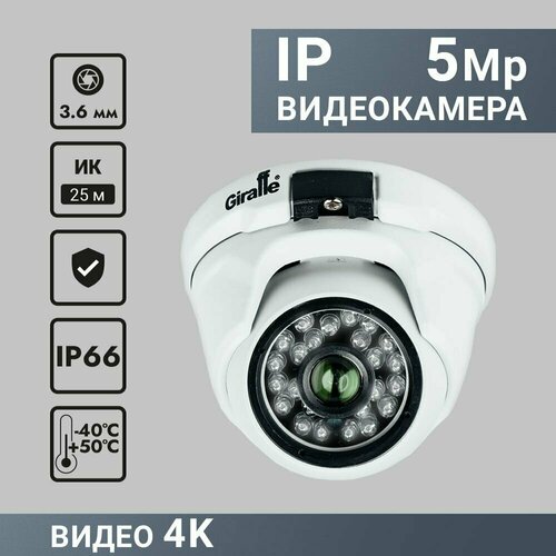 IP камера антивандальная GF-IPVIR4206MP50 v2 616500₽