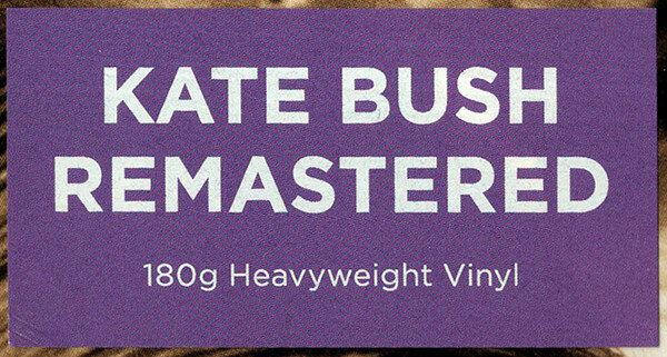 Kate Bush Kate Bush - The Dreaming (180 Gr) Parlophone - фото №6