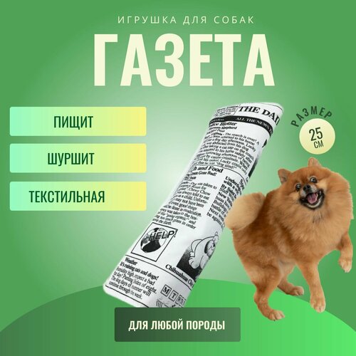 Игрушка для собак газета