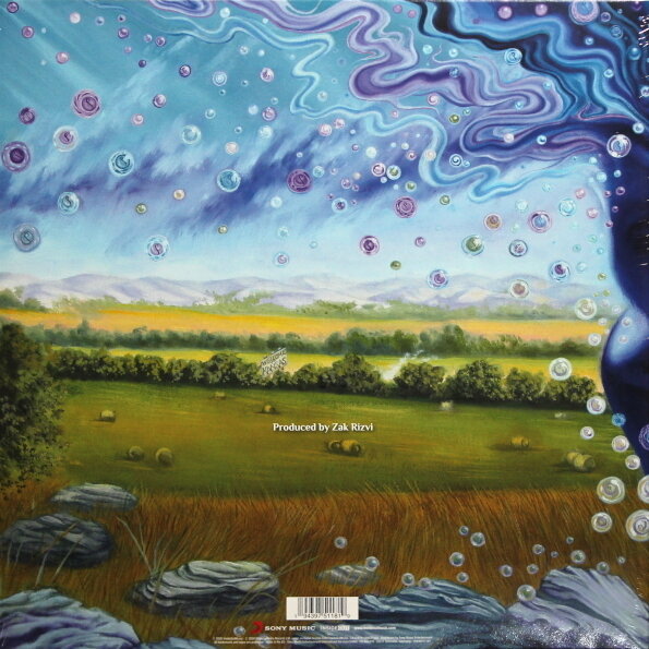 Sony Music Kansas - The Absence Of Presence (2LP+CD) (CD, виниловая пластинка) - фото №4