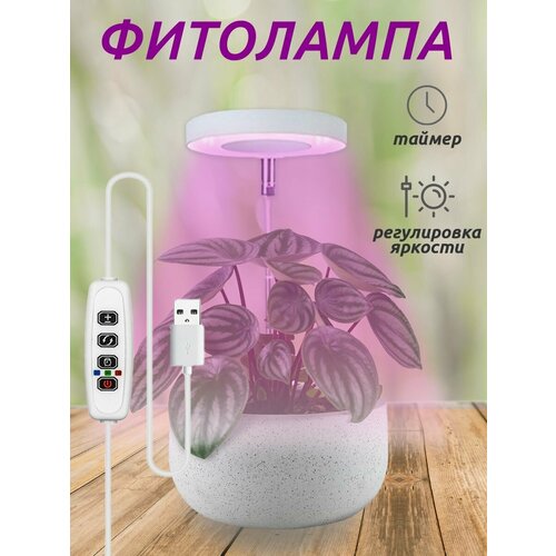 Фитолампа для растений, цветов и рассады