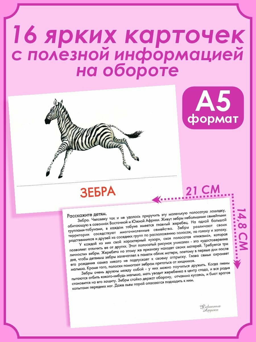 Дидактические карточки Маленький гений Животные Африки - фото №19