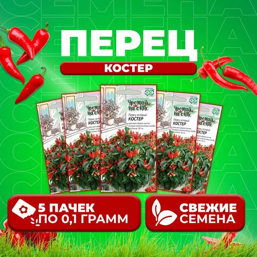 Перец острый Костер, 0,1г, Гавриш, Урожай на окне (5 уп) базилик василиск 0 1г гавриш урожай на окне 5 уп