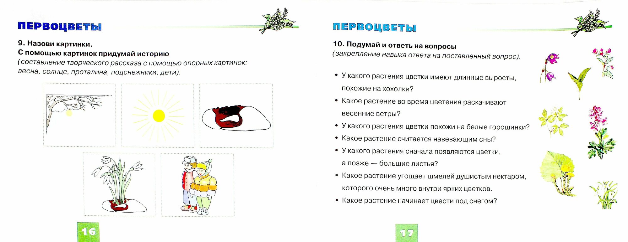 Дидактический материал "Цветы". Для развития лексико-грамматических категорий у детей 5-7 лет - фото №3