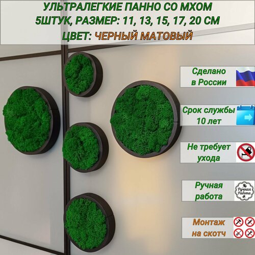 Круглые декоративное панно на стену со стабилизированным мхом, декор для дома, 5 штук, черные