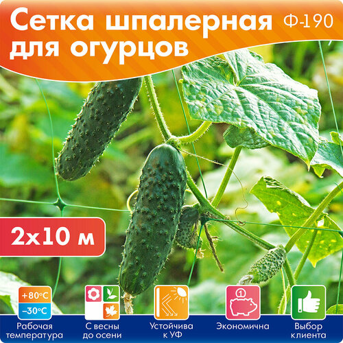 Сетка шпалерная Протэкт Сетка для огурцов, Ф-190/2/10, 2 х 10 м, 1 шт. 1 1000 см 200 см 200 см лесной 0.14 кг зеленый
