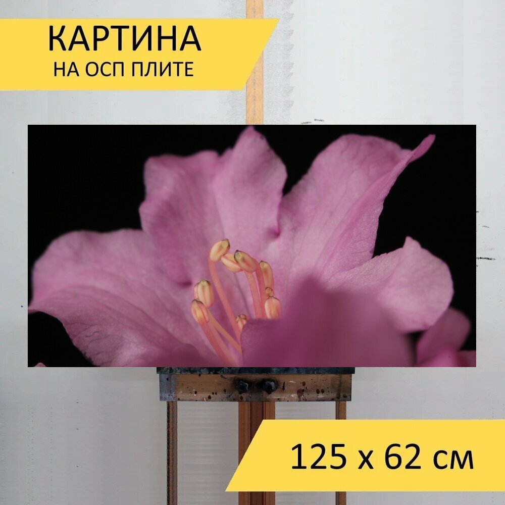 Картина на ОСП 125х62 см. 