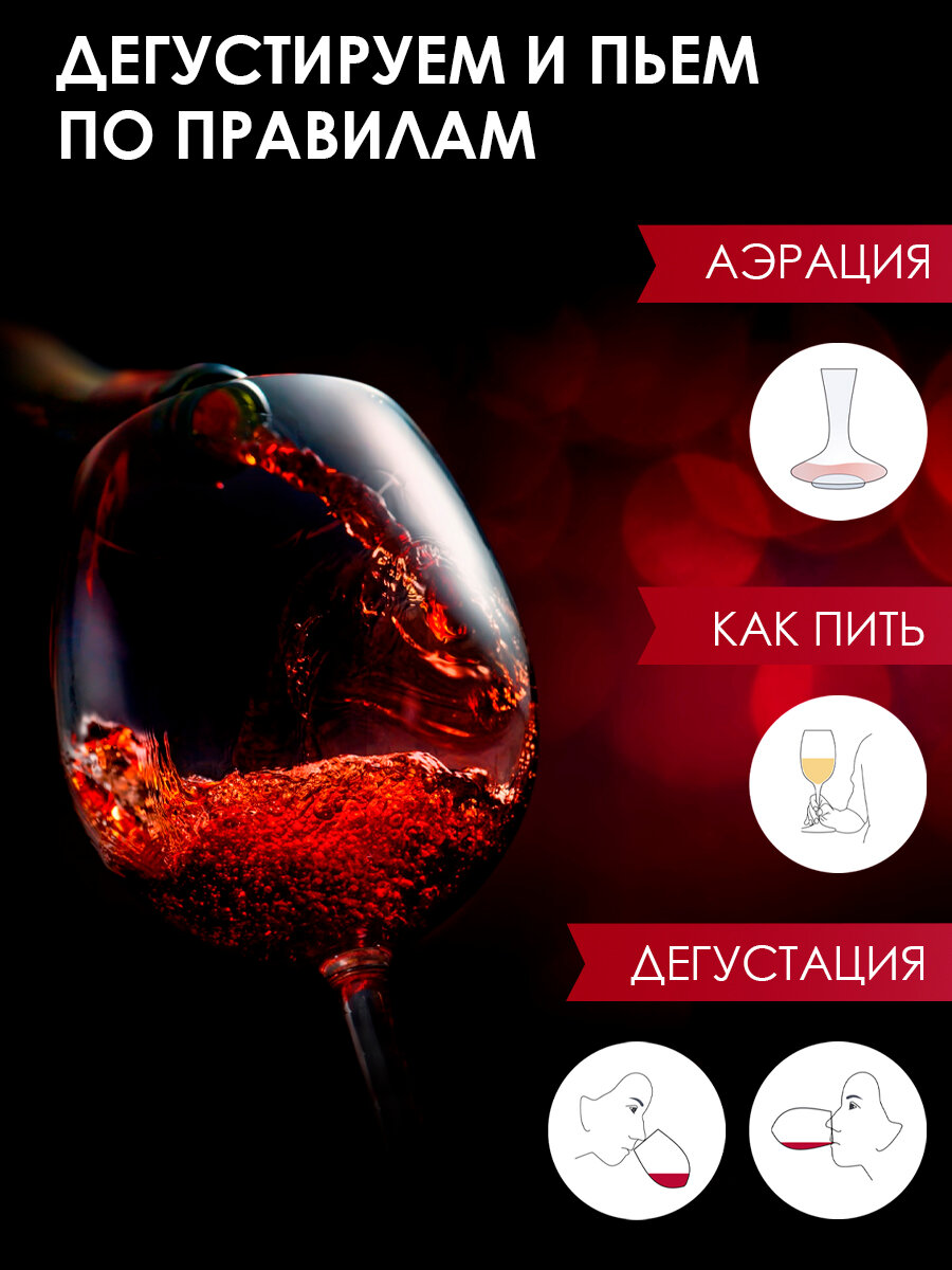 Настенный плакат Винографика практический гид по вину