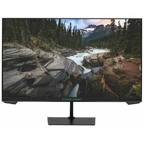 238 Монитор Titan Army P24H2G черный 1756200₽