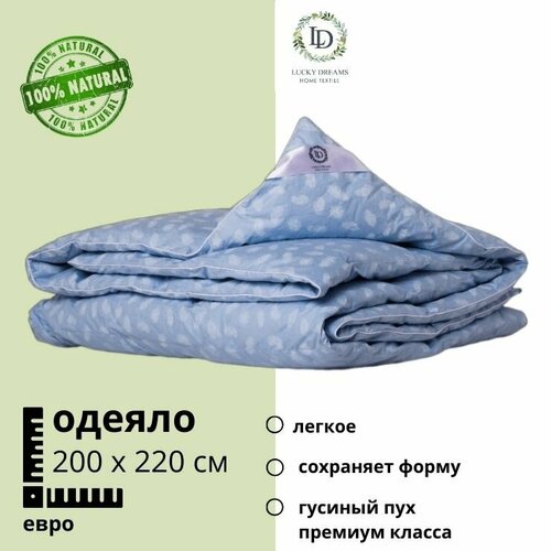 Спите в зимнем блаженстве с нашим стеганым евроодеялом (200x220) - 100% хлопок тик, пуховое одеяло из пера теплое, голубом цвете, 