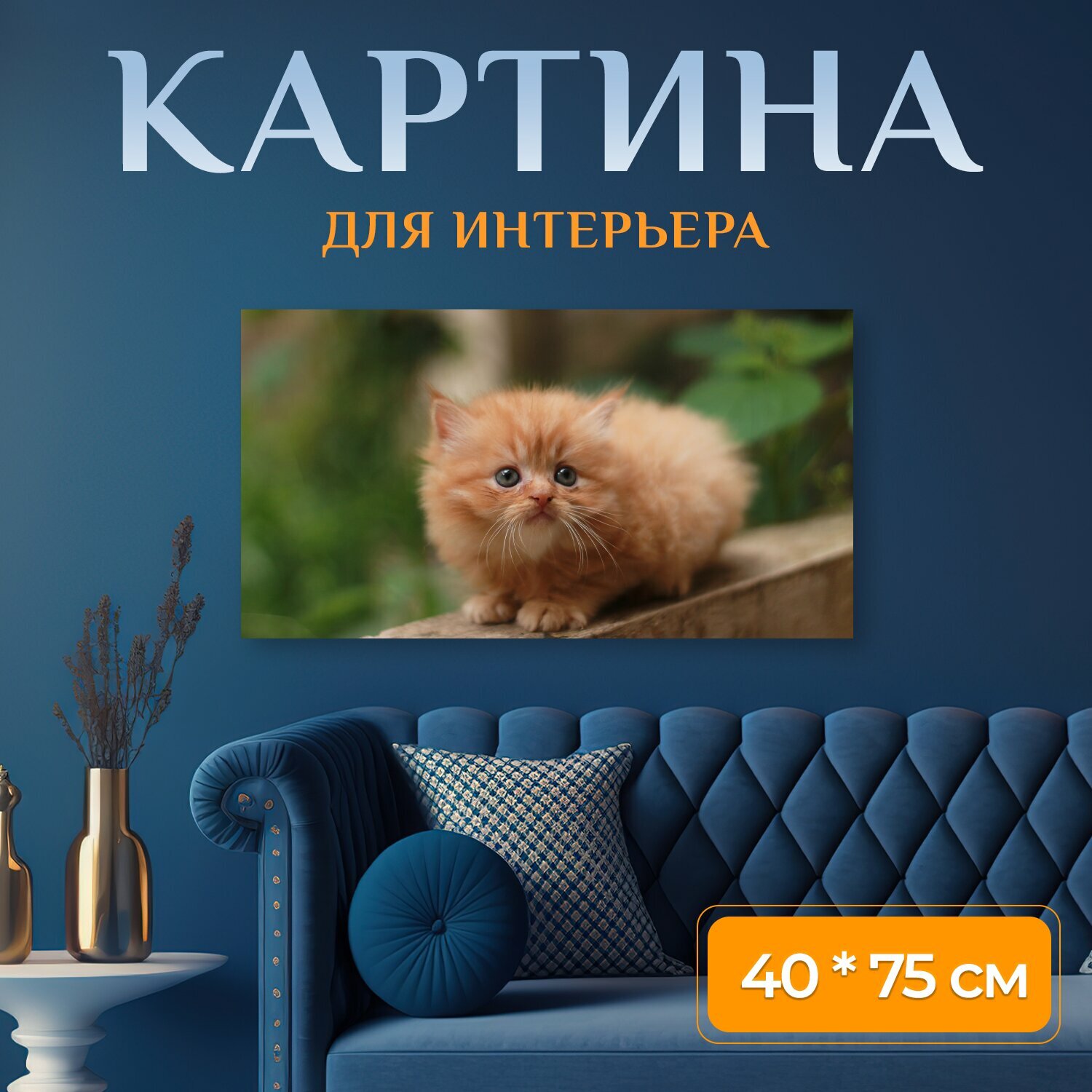 Картина на холсте "Кот, котенок, персидский" на подрамнике 75х40 см. для интерьера