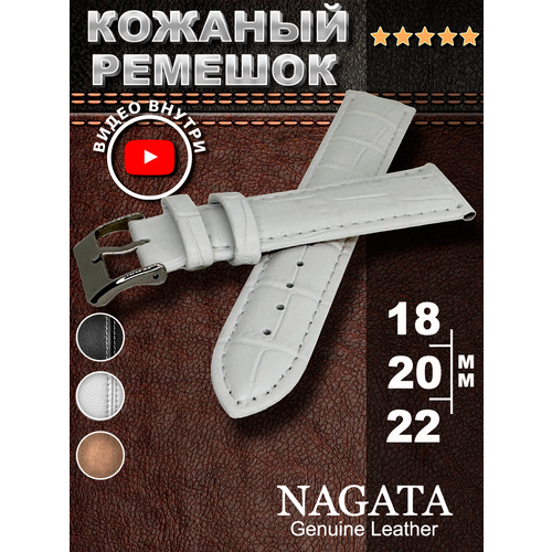  Nagata,  ,   1.5 ,  22, 