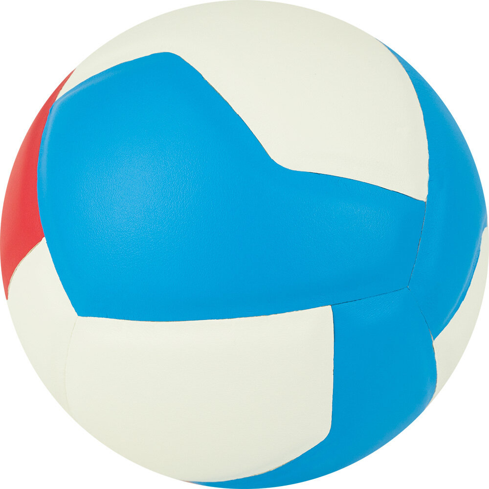 Мяч волейбольный GALA School 12, BV5715S, р. 5