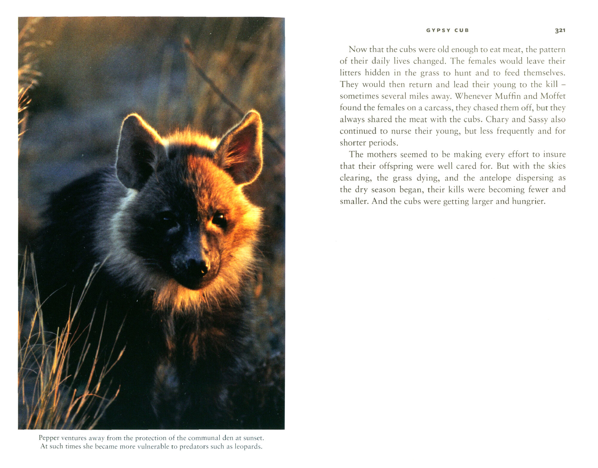 Cry of the Kalahari (Owens Delia; Owens Mark) - фото №2
