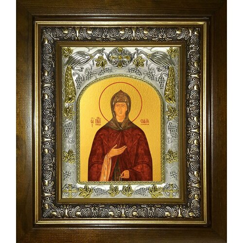 Икона София Суздальская, преподобная храмовая икона софия суздальская преподобная арт дмих 312 1
