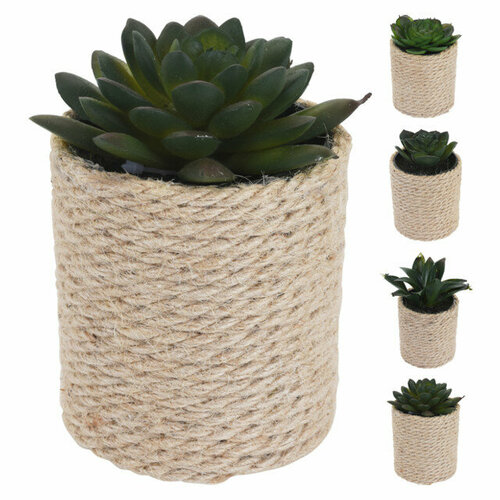 Растение искусственное в горшке Суккулент 14см в асс-те 2213₽