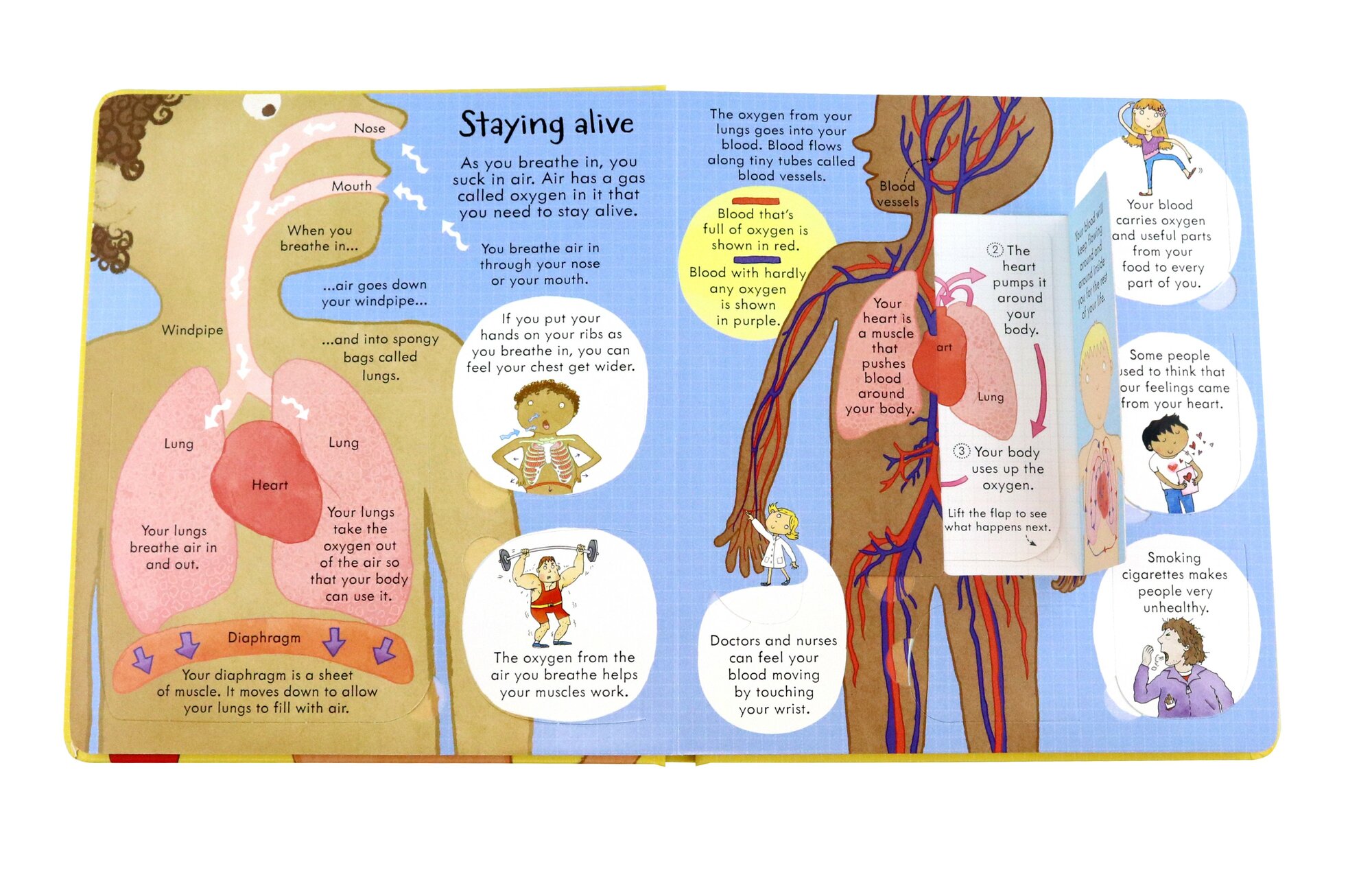 Look Inside Your Body (Stowell Louie) - фото №6