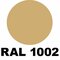 RAL 1002