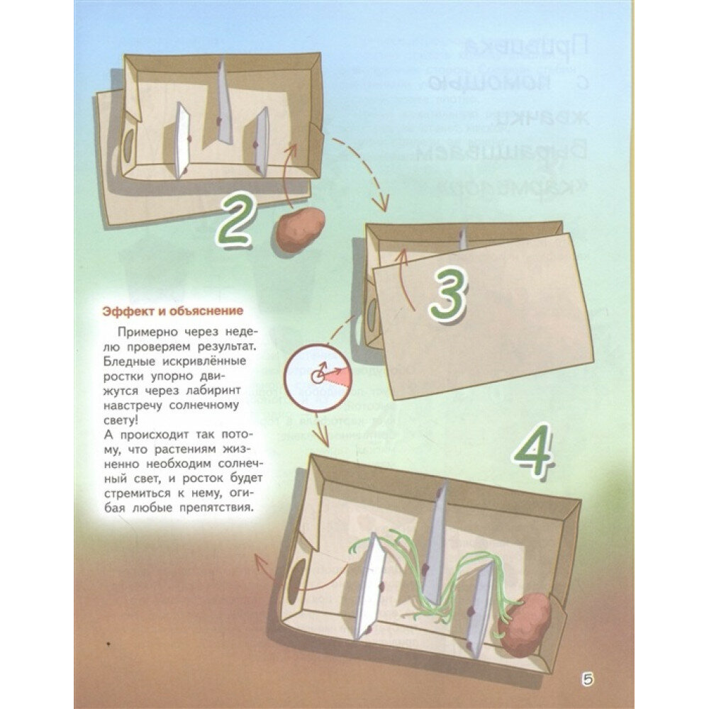 Весёлые научные опыты. Увлекательные эксперименты с растениями и солнечным светом - фото №15